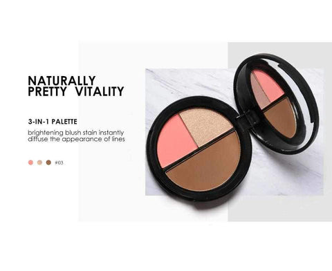 Image of 3 Colors Bronzers & Highlighters Powder