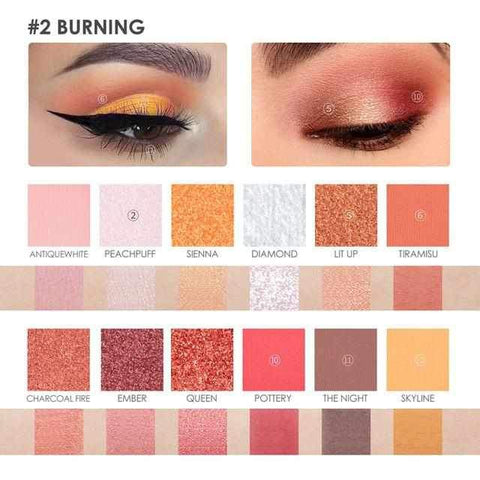 Image of Burning  12 Colors Eyeshadow High Quality