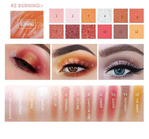 Image of Burning  12 Colors Eyeshadow High Quality